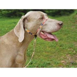 PetSafe Gentle Leader Chic Designer Headcollar & Leash, Donuts -Deals PETSAFE Store 1258750 A4