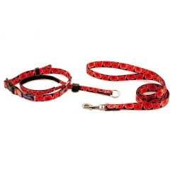PetSafe Gentle Leader Chic Designer Headcollar and Leash, Poppies -Deals PETSAFE Store 1258751 A1
