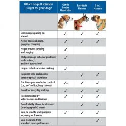 PetSafe Gentle Leader Chic Designer Headcollar and Leash, Poppies -Deals PETSAFE Store 1258751 A6