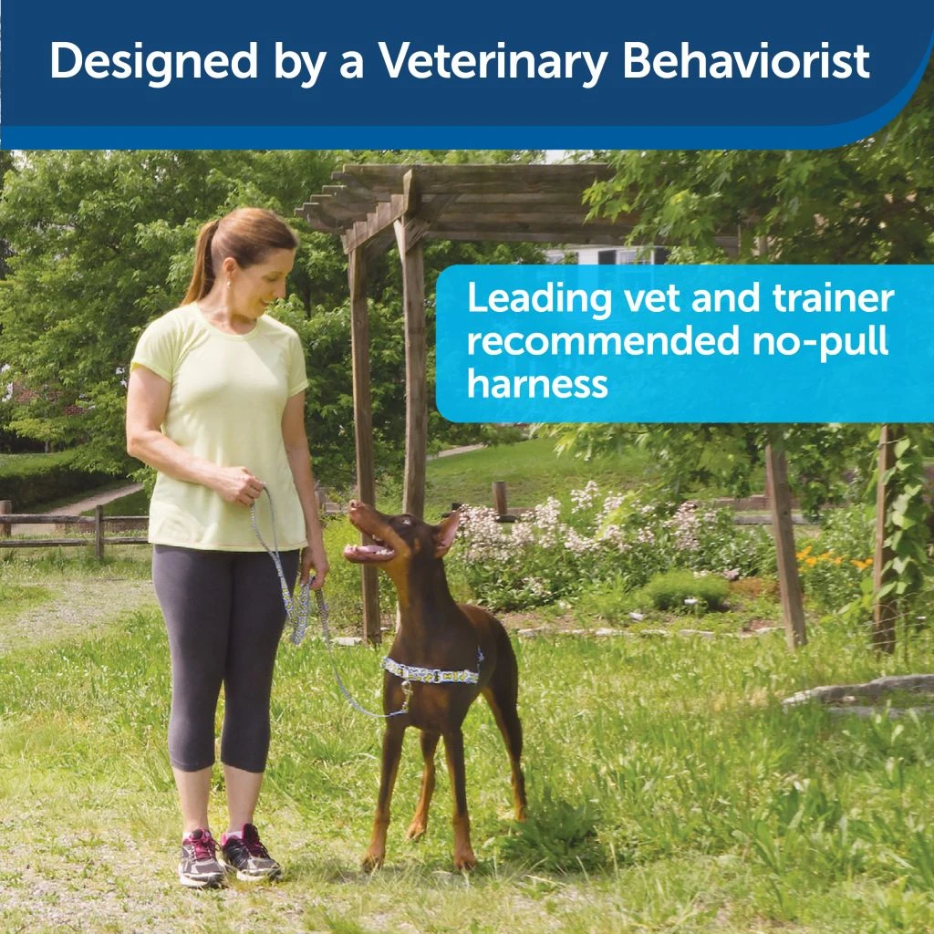 PetSafe Easy Walk Chic Dog Harness, Donuts 6 PetSafe Easy Walk Chic Dog Harness, Donuts - Image 4