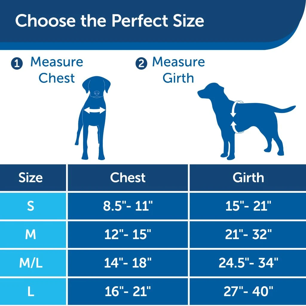 PetSafe Easy Walk Chic Dog Harness, Donuts 8 PetSafe Easy Walk Chic Dog Harness, Donuts - Image 6