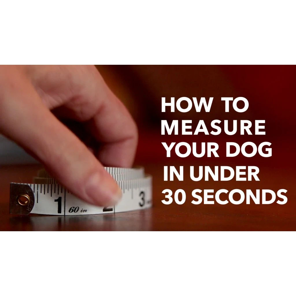 PetSafe Easy Walk Chic Dog Harness, Donuts 12 PetSafe Easy Walk Chic Dog Harness, Donuts - Image 10