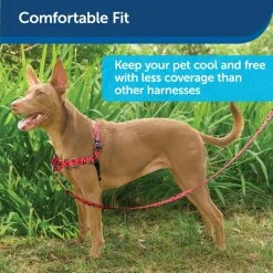 PetSafe Easy Walk Chic Dog Harness Poppies -Deals PETSAFE Store 1258775 A2