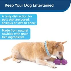 PetSafe Busy Buddy Dinosaur Dog Chew Toy, Medium 10 PetSafe Busy Buddy Dinosaur Dog Chew Toy, Medium -Deals PETSAFE Store 1258794 A1