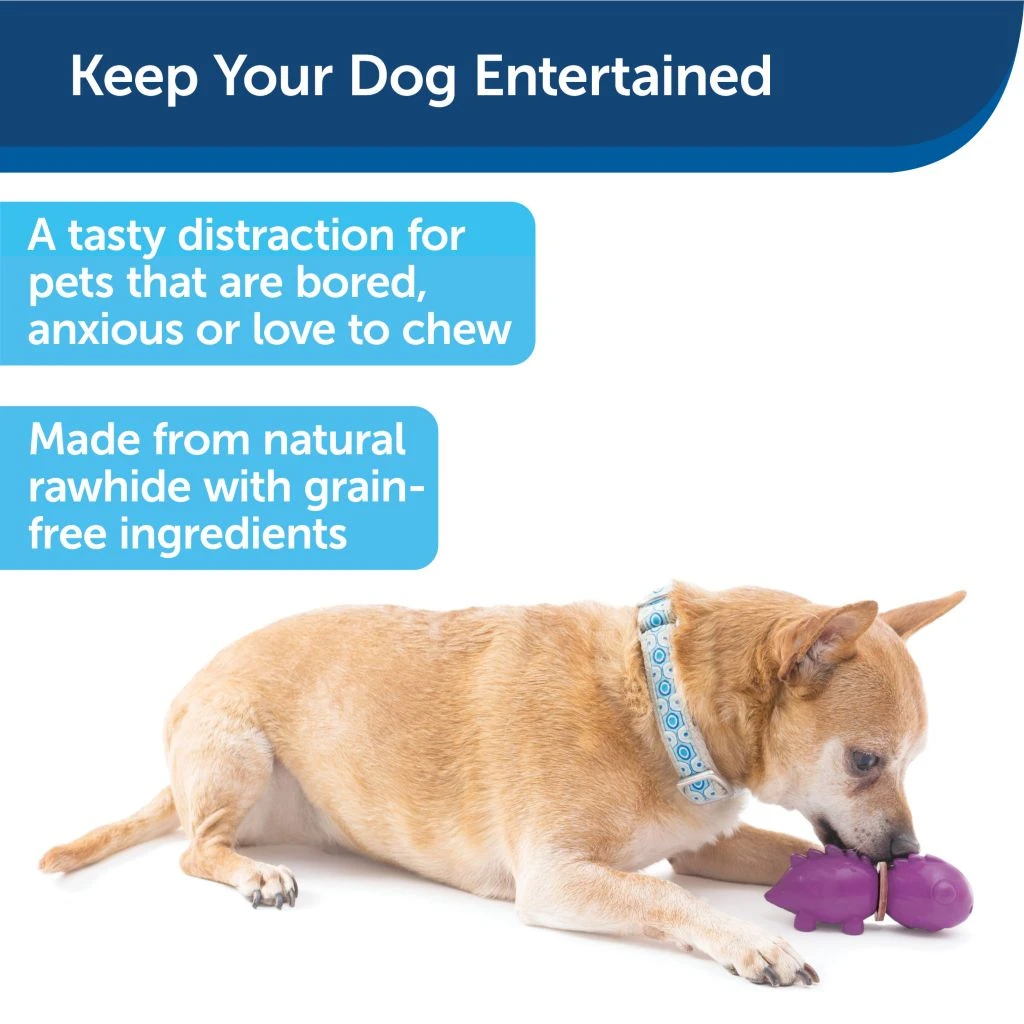 PetSafe Busy Buddy Dinosaur Dog Chew Toy, Medium 4 PetSafe Busy Buddy Dinosaur Dog Chew Toy, Medium - Image 2