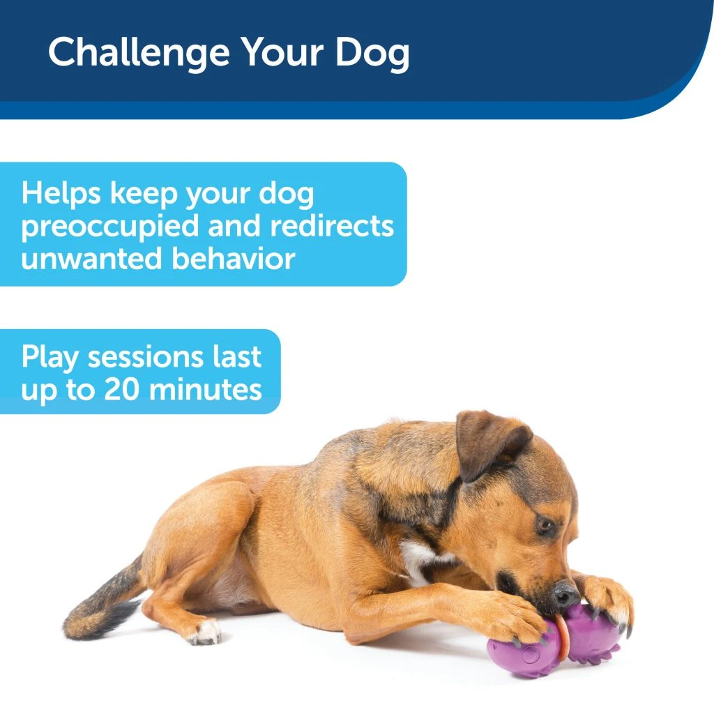 PetSafe Busy Buddy Dinosaur Dog Chew Toy, Medium 6 PetSafe Busy Buddy Dinosaur Dog Chew Toy, Medium - Image 4