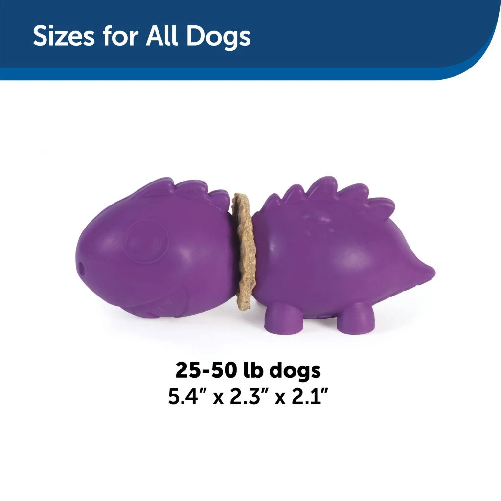 PetSafe Busy Buddy Dinosaur Dog Chew Toy, Medium 7 PetSafe Busy Buddy Dinosaur Dog Chew Toy, Medium - Image 5