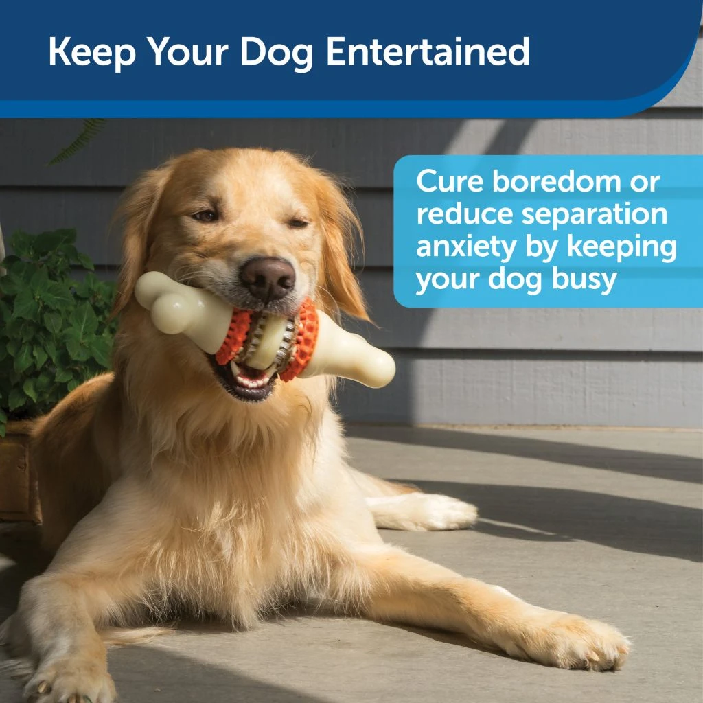 PetSafe Sportsmen Bristle Bone Dog Chew Toy, Medium 4 PetSafe Sportsmen Bristle Bone Dog Chew Toy, Medium - Image 2