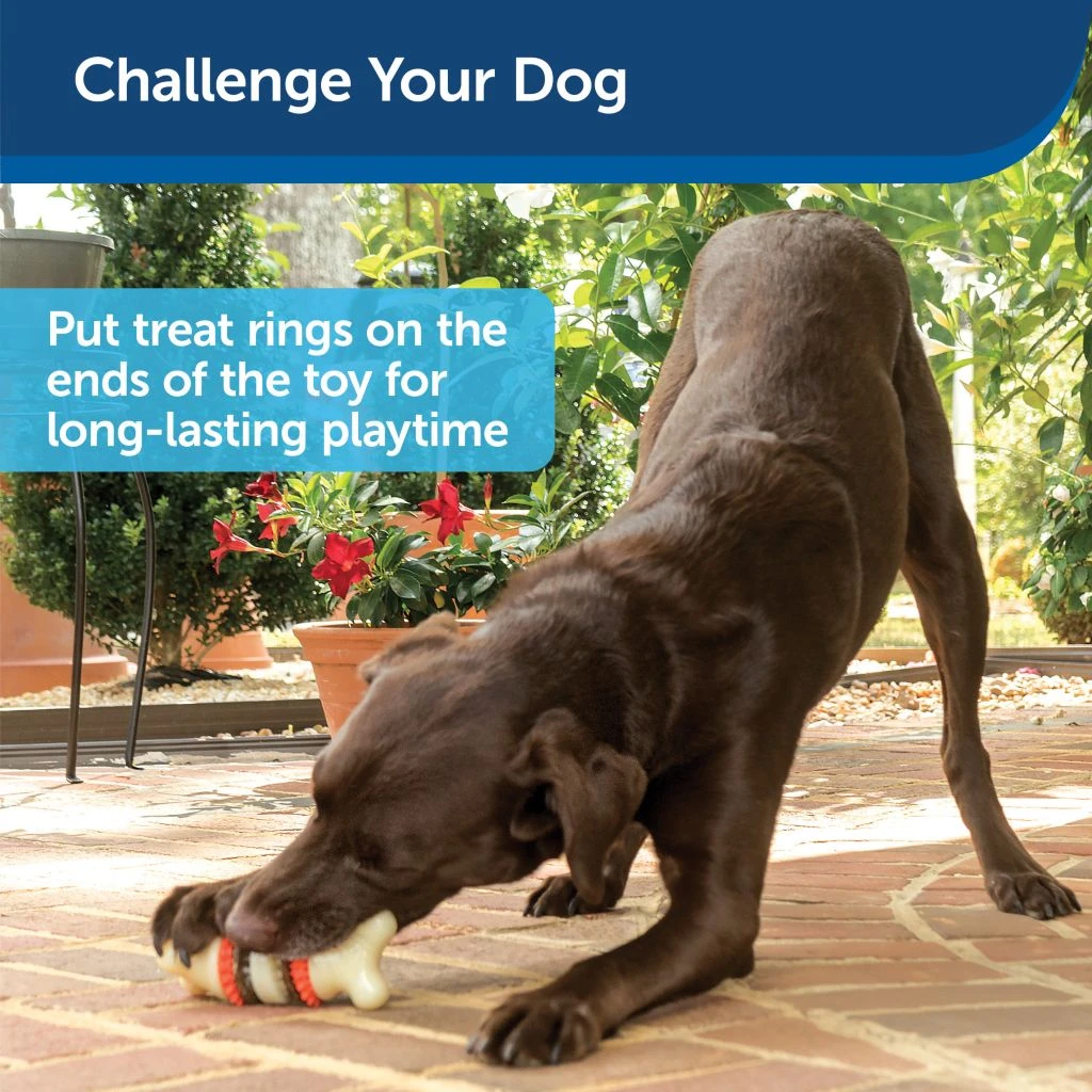 PetSafe Sportsmen Bristle Bone Dog Chew Toy, Medium 6 PetSafe Sportsmen Bristle Bone Dog Chew Toy, Medium - Image 4