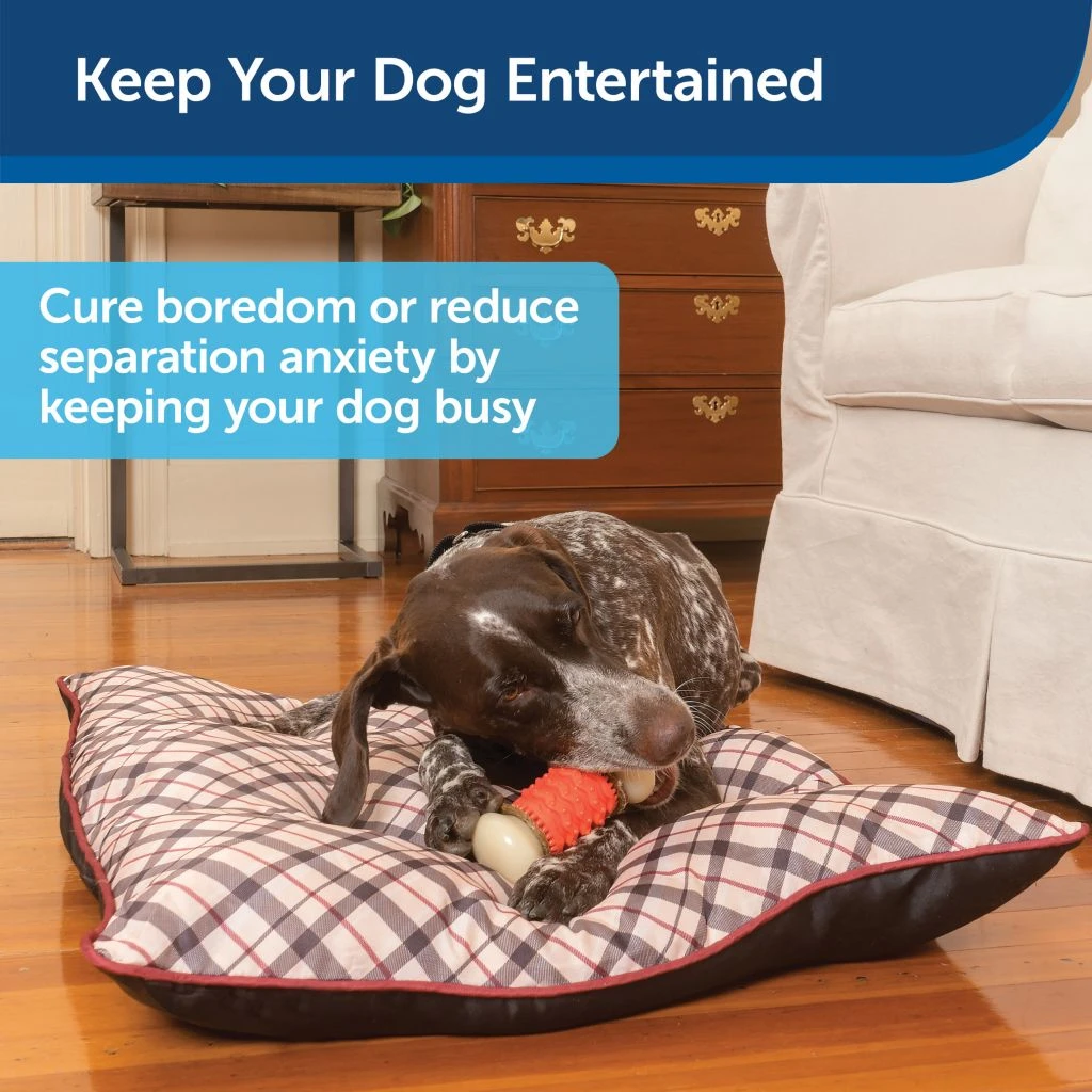 PetSafe Sportsmen Nobbly Nubbly Dog Chew Toy, Large 4 PetSafe Sportsmen Nobbly Nubbly Dog Chew Toy, Large - Image 2