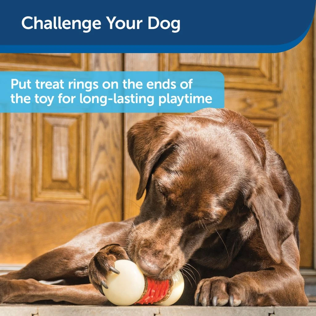 PetSafe Sportsmen Nobbly Nubbly Dog Chew Toy, Large 6 PetSafe Sportsmen Nobbly Nubbly Dog Chew Toy, Large - Image 4