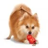 PetSafe Sportsmen Barnacle Dog Chew Toy, Small 1 PetSafe Sportsmen Barnacle Dog Chew Toy, Small -Deals PETSAFE Store 1258817