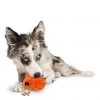 PetSafe Sportsmen Treat Holding Barnacle Dog Chew Toy, Medium 1 PetSafe Sportsmen Treat Holding Barnacle Dog Chew Toy, Medium -Deals PETSAFE Store 1258818