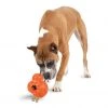 PetSafe Sportsmen Barnacle Dog Chew Toy, Large 1 PetSafe Sportsmen Barnacle Dog Chew Toy, Large -Deals PETSAFE Store 1258819