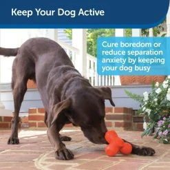 PetSafe Sportsmen Troog Squeak 'N Treat Dog Chew Toy, Medium 10 PetSafe Sportsmen Troog Squeak 'N Treat Dog Chew Toy, Medium -Deals PETSAFE Store 1258822 A1