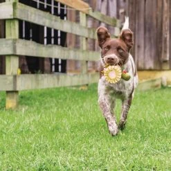 PetSafe Sportsmen Squeeze Meeze Turkey Dog Toy -Deals PETSAFE Store 1258828 A4