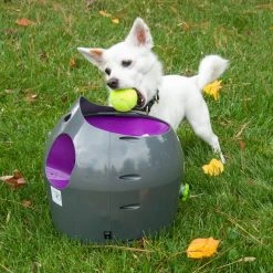 PetSafe Tennis Ball Dog Toys, 3-Pack -Deals PETSAFE Store 1258841 A3