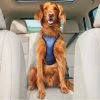 PetSafe Happy Ride Safety Harness, Large -Deals PETSAFE Store 1339608