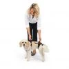 PetSafe CareLift Support Dog Harness, Small 2 PetSafe CareLift Support Dog Harness, Small -Deals PETSAFE Store 1339618