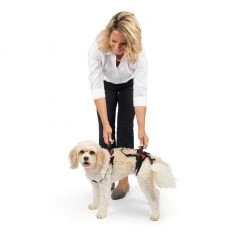 PetSafe CareLift Support Dog Harness, Small