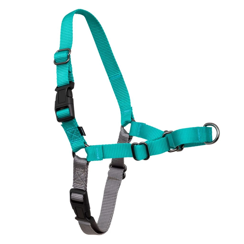 PetSafe Easy Walk Dog Harness 5 PetSafe Easy Walk Dog Harness - Image 3