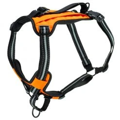 PetSafe Walk Along Reflective Outdoor Dog Harness, Small, Orange