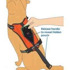 PetSafe Walk Along Reflective Outdoor Dog Harness, Small, Orange 10 PetSafe Walk Along Reflective Outdoor Dog Harness, Small, Orange -Deals PETSAFE Store 1460314 A2