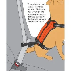 PetSafe Walk Along Reflective Outdoor Dog Harness, Small, Orange 11 PetSafe Walk Along Reflective Outdoor Dog Harness, Small, Orange -Deals PETSAFE Store 1460314 A3