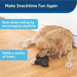 PetSafe Squeak 'N Treat Ninja Star Dog Chew Toy, Medium -Deals PETSAFE Store 1460326 A3