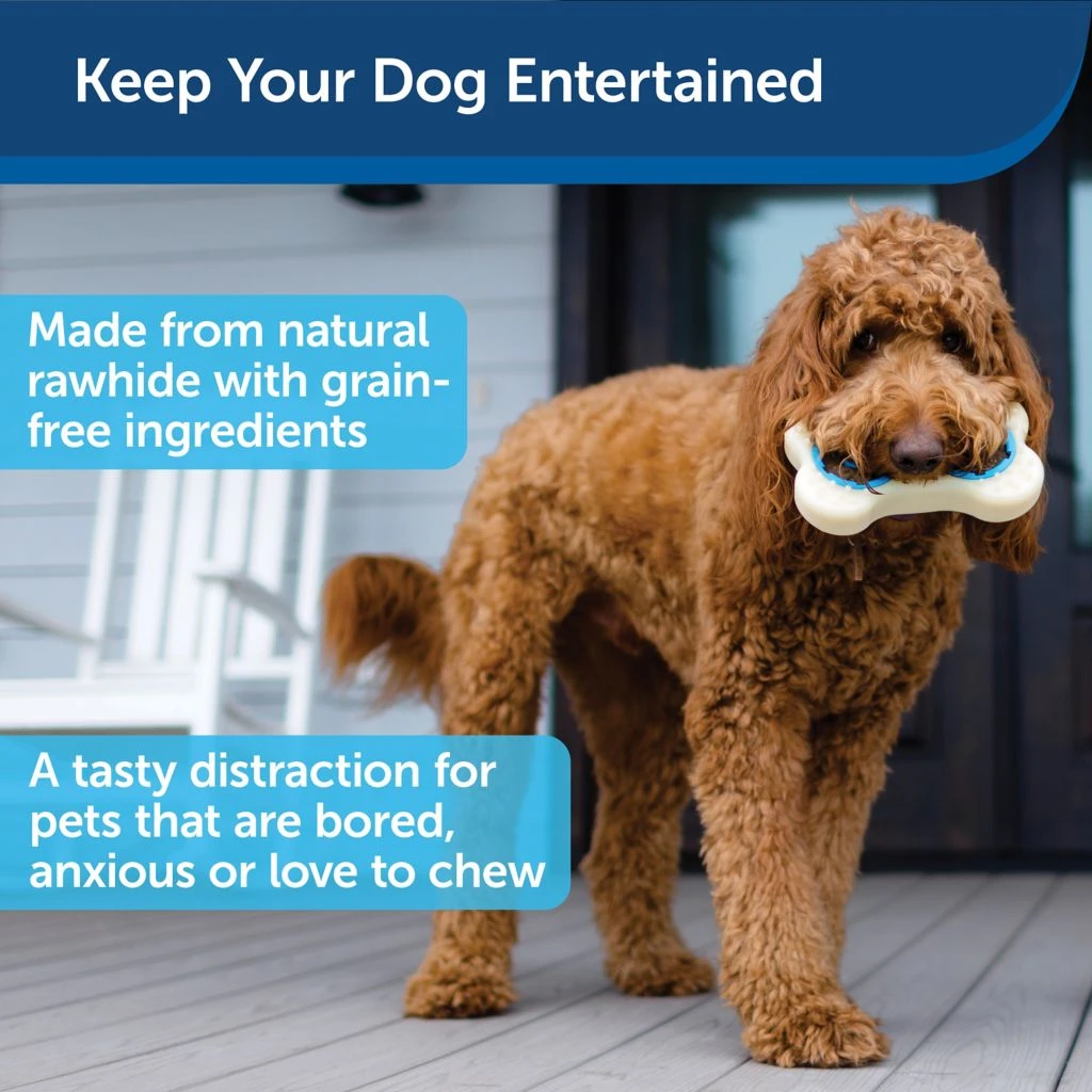 PetSafe Forever Bone Treat Ring Dog Toy, Small 4 PetSafe Forever Bone Treat Ring Dog Toy, Small - Image 2