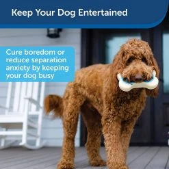 PetSafe Busy Buddy Forever Dog Toy Bone, Medium -Deals PETSAFE Store 1460331 A2