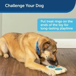 PetSafe Busy Buddy Forever Dog Toy Bone, Medium -Deals PETSAFE Store 1460331 A4