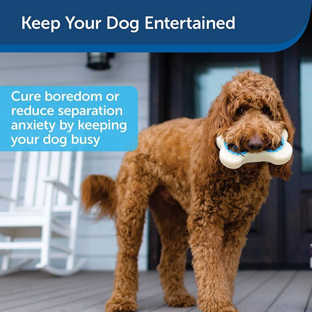 PetSafe Forever Bone Treat Ring Dog Toy, Large 4 PetSafe Forever Bone Treat Ring Dog Toy, Large - Image 2