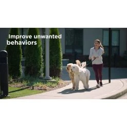 PetSafe 300 Yard Remote Spray Trainer for Dogs -Deals PETSAFE Store 1460335 VIDEO 1 480x270 1200k