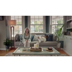 PetSafe Scoop-Free Self-Cleaning Cat Litter Box, Hooded 21 PetSafe Scoop-Free Self-Cleaning Cat Litter Box, Hooded -Deals PETSAFE Store 1530700 VIDEO 2 480x270 1200k