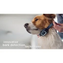 PetSafe Bark Control Dog Collar Spray Refill, Unscented Cartridges, 3 pk. 17 PetSafe Bark Control Dog Collar Spray Refill, Unscented Cartridges, 3 pk. -Deals PETSAFE Store 1592319 VIDEO 1 480x270 1200k