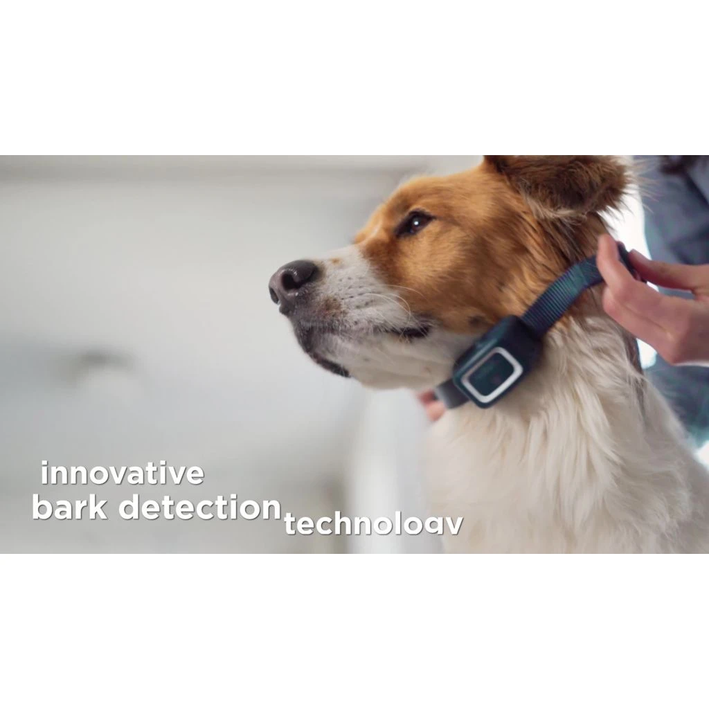 PetSafe Bark Control Dog Collar Spray Refill, Unscented Cartridges, 3 pk. 10 PetSafe Bark Control Dog Collar Spray Refill, Unscented Cartridges, 3 pk. - Image 8