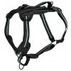 PetSafe Walk Along Reflective Outdoor Dog Harness -Deals PETSAFE Store 1592324