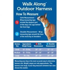 PetSafe Walk Along Reflective Outdoor Dog Harness 13 PetSafe Walk Along Reflective Outdoor Dog Harness -Deals PETSAFE Store 1592324 A5