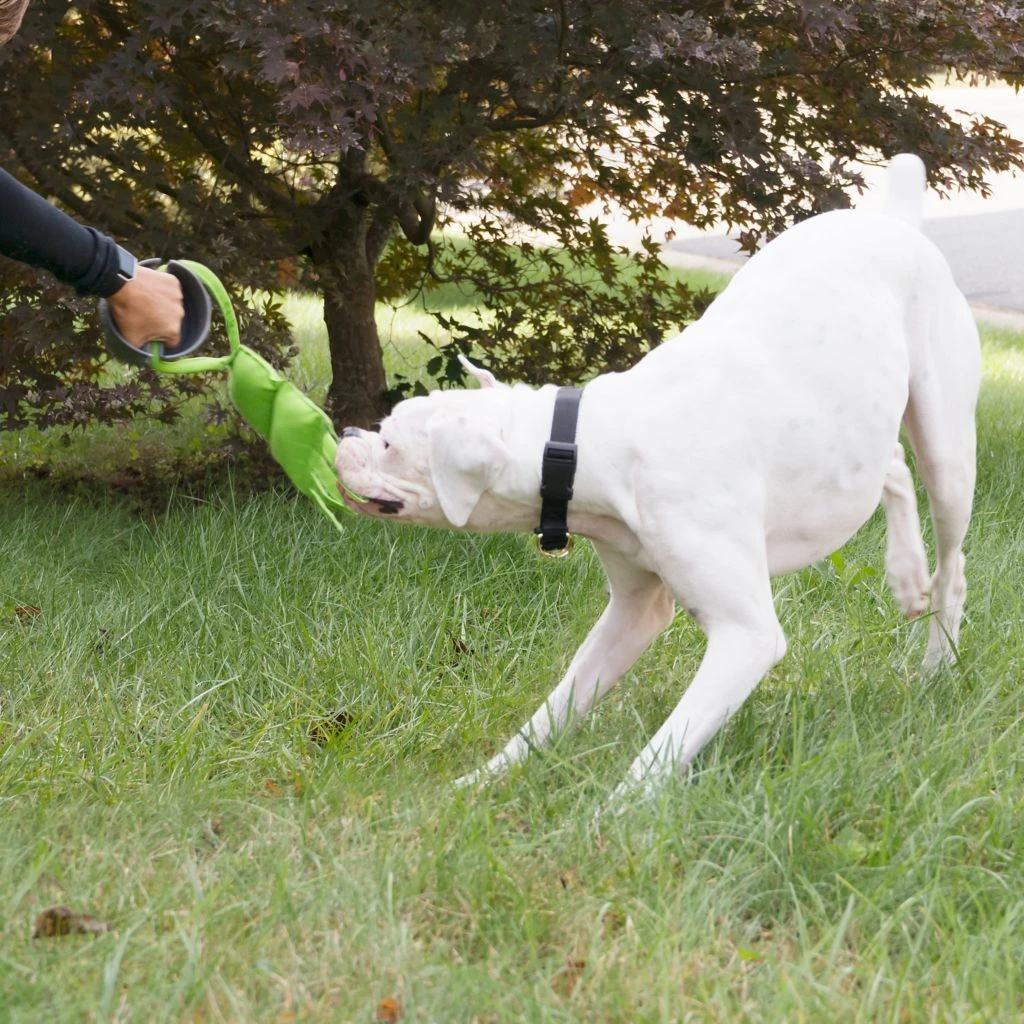 PetSafe Grip 'n' Tug Squeak Replacement Tug Dog Chew Toy 4 PetSafe Grip 'n' Tug Squeak Replacement Tug Dog Chew Toy - Image 2