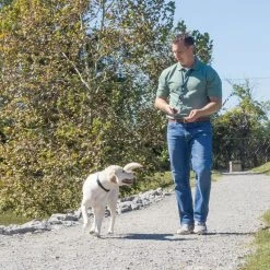 PetSafe Remote Transmitter Dog Trainer Lanyard 12 PetSafe Remote Transmitter Dog Trainer Lanyard -Deals PETSAFE Store 1592382 A5