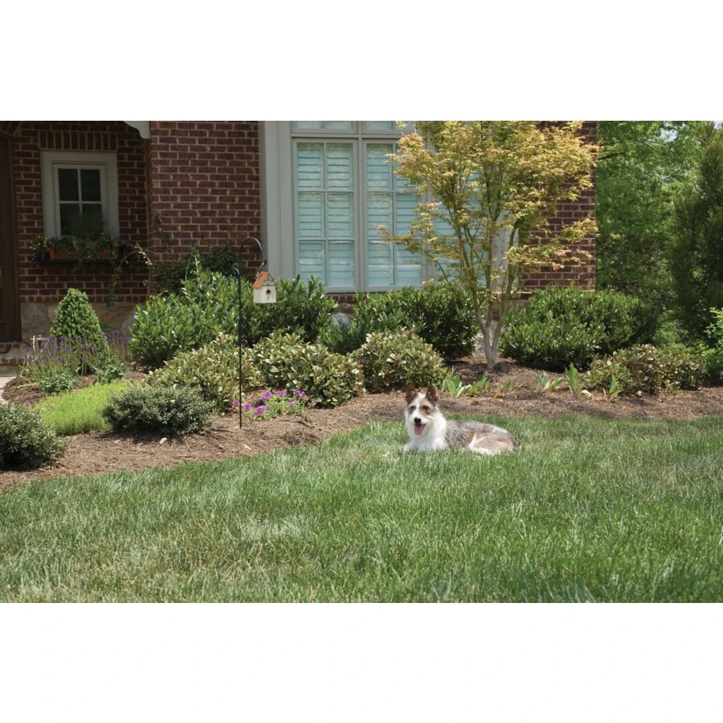 PetSafe 0.25 Acres Operating Range Outdoor Bark Control Device 10 PetSafe 0.25 Acres Operating Range Outdoor Bark Control Device - Image 8