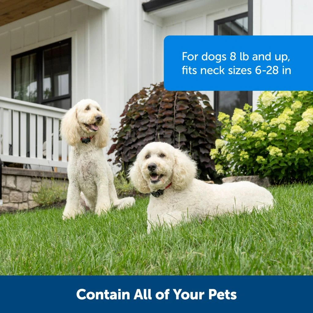 PetSafe Wireless Pet Containment System Receiver Collar 5 PetSafe Wireless Pet Containment System Receiver Collar - Image 4