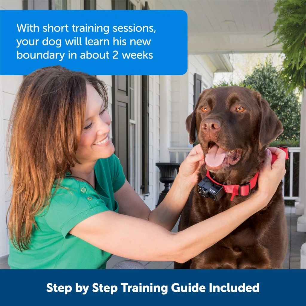 PetSafe Wireless Pet Containment System Receiver Collar 6 PetSafe Wireless Pet Containment System Receiver Collar - Image 5