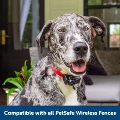 PetSafe Wireless Pet Containment System Receiver Collar 17 PetSafe Wireless Pet Containment System Receiver Collar -Deals PETSAFE Store 3691054 A6