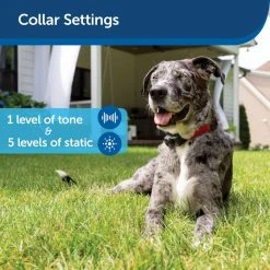 PetSafe Ultralight Receiver Collar 12 PetSafe Ultralight Receiver Collar -Deals PETSAFE Store 3691169 A3
