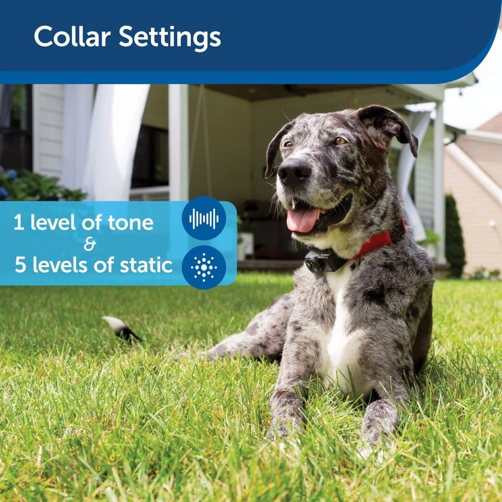 PetSafe Ultralight Receiver Collar 6 PetSafe Ultralight Receiver Collar - Image 4