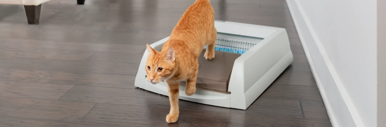 PetSafe Sales 2022 -Deals PETSAFE Store 1